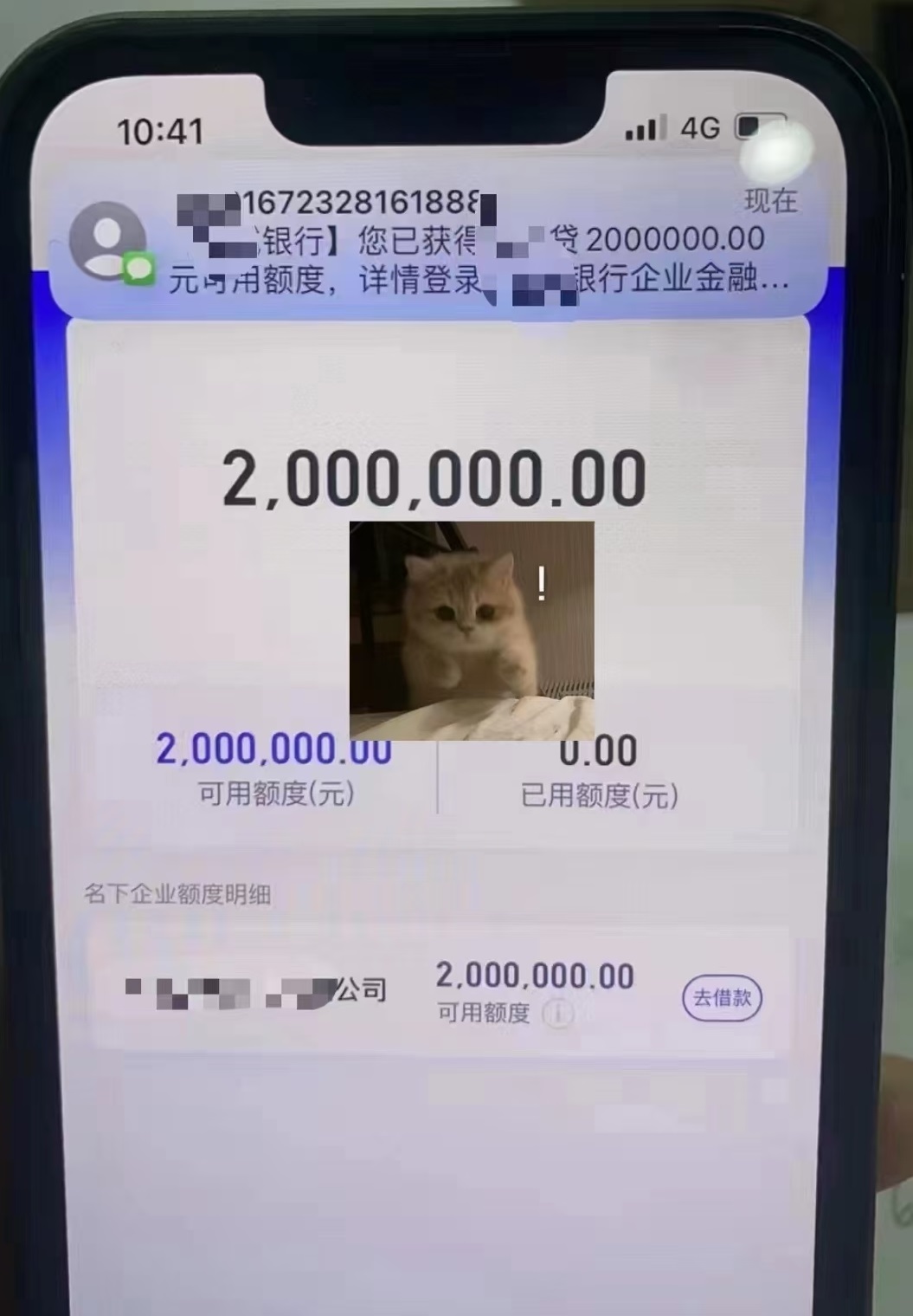 张.jpg